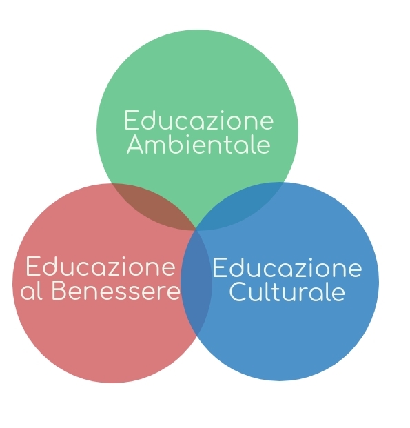 Uscite Didattiche E Laboratori 19 Scuola Dell Infanzia Demetra Servizi Per Il Verde